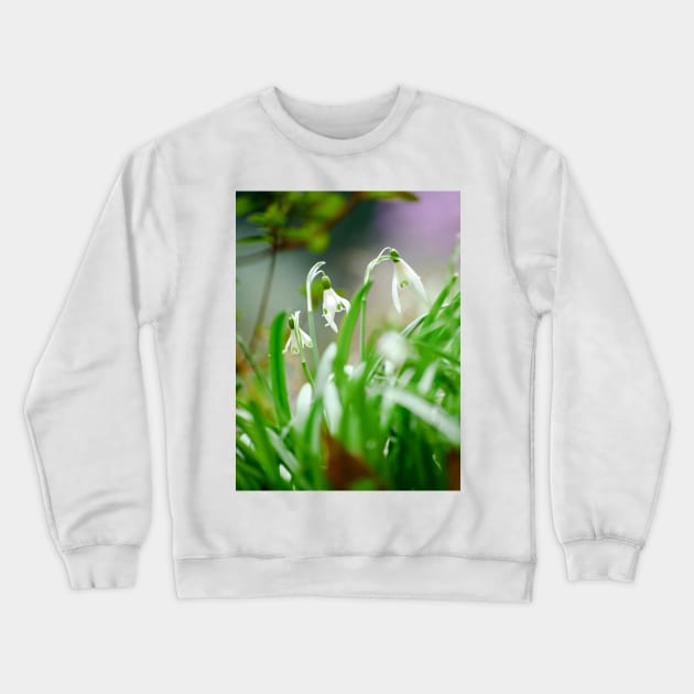 Snowdrops Crewneck Sweatshirt by BonniePhantasm